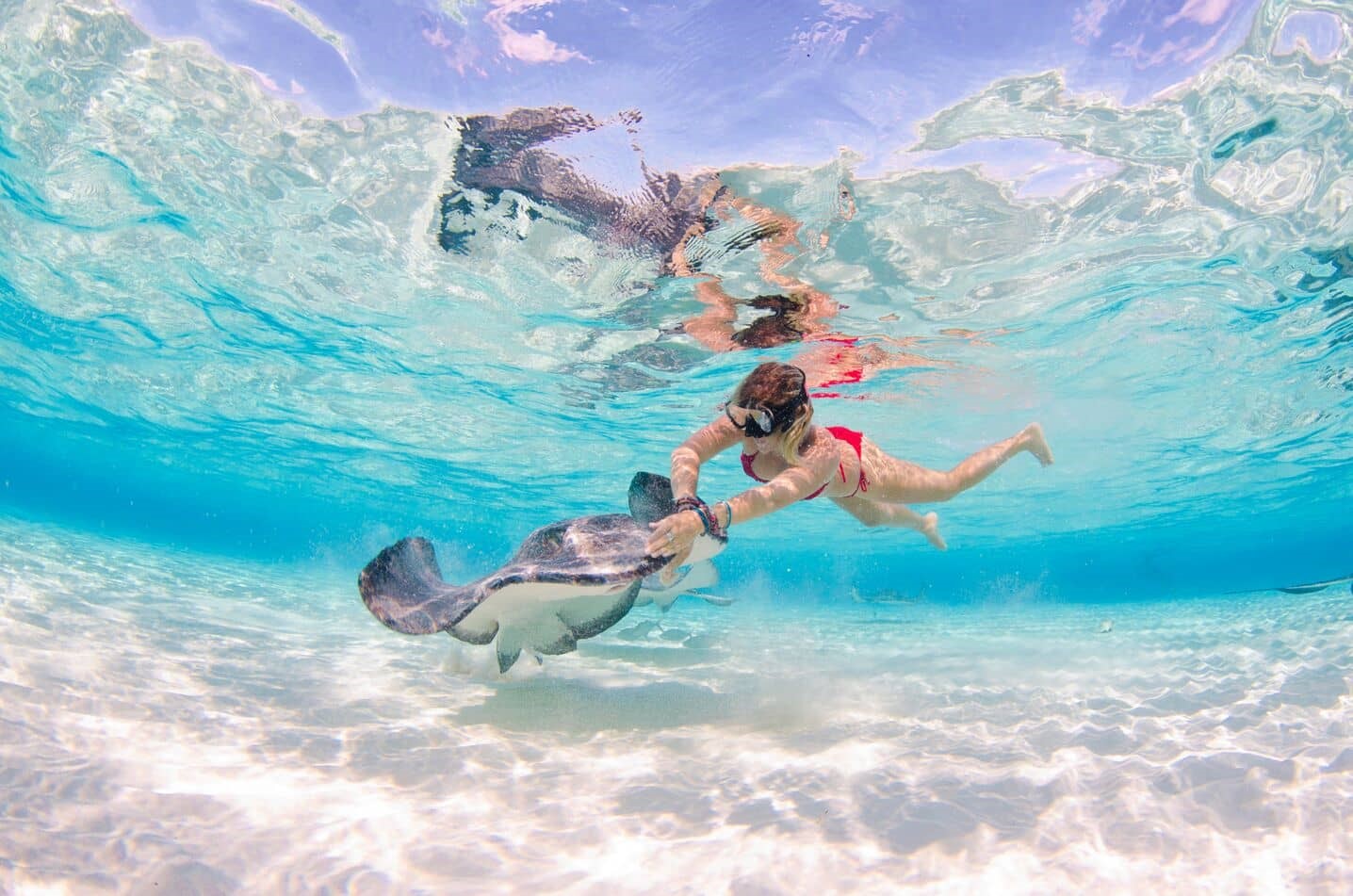 Stingray snorkeler sandbar