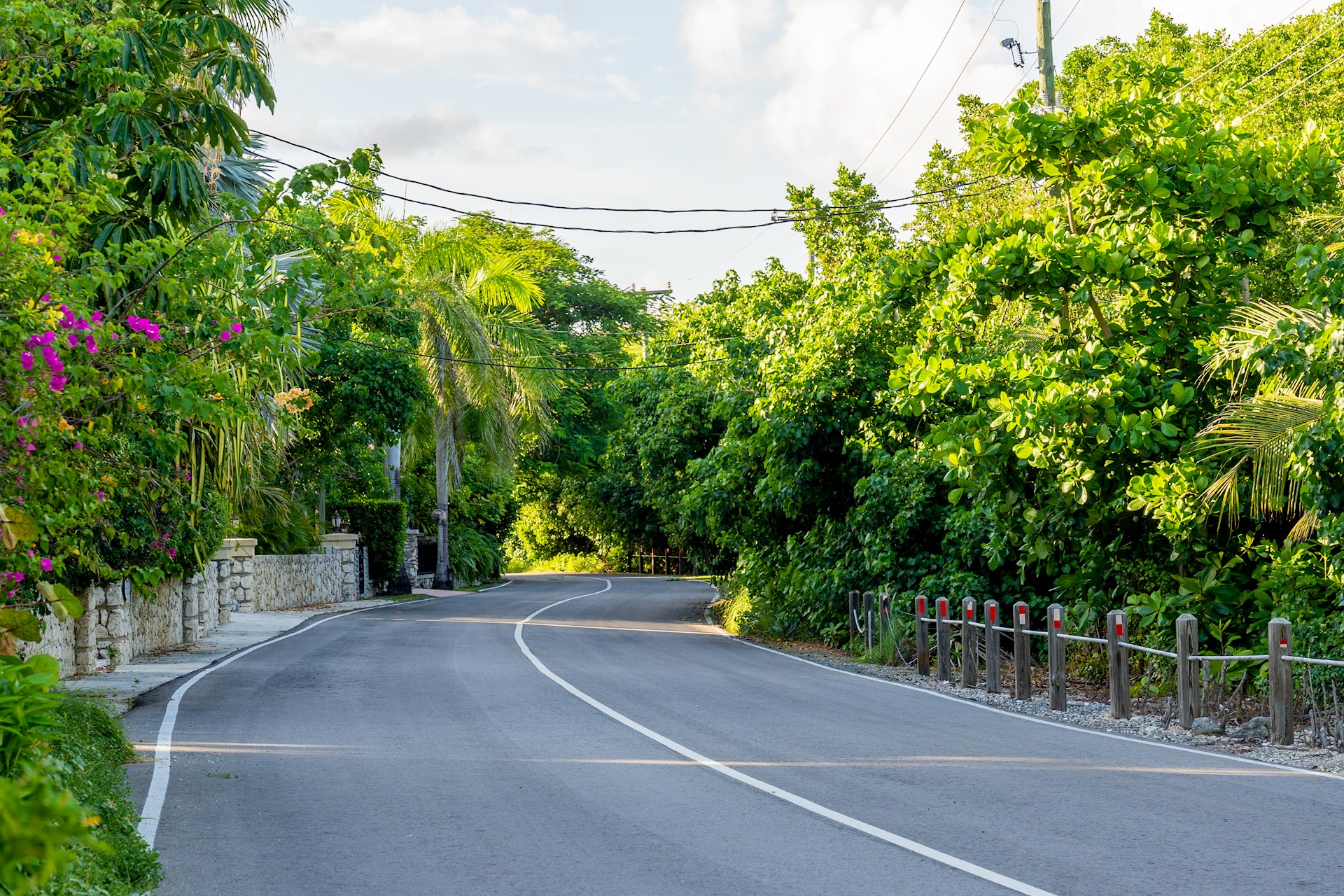 Bodden Town & Savannah