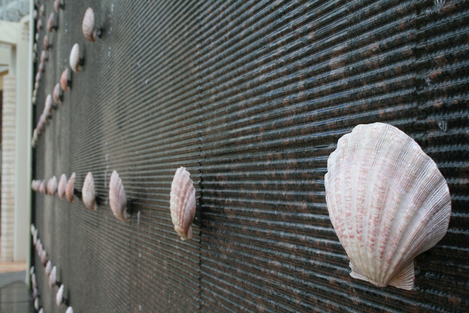 7 Instagram-worthy photos on 7 Mile Beach