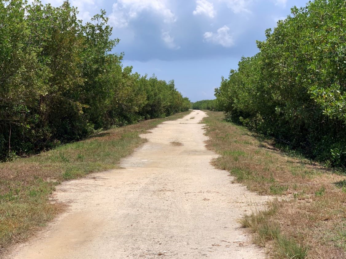 caribbean path