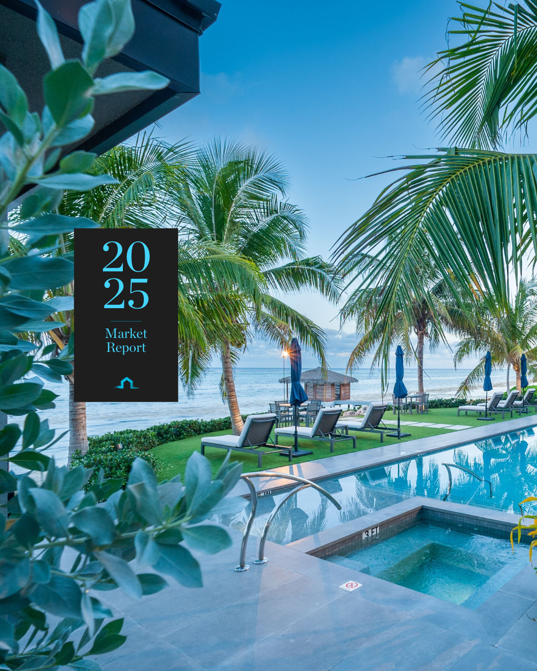 2025 Full Year Market Report 